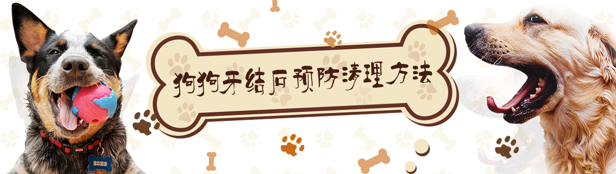 狗狗牙结石清理方法是什么